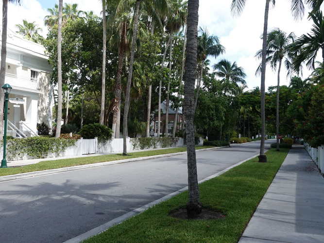 MIA_2023-08-12 11-48-01_RX_06017